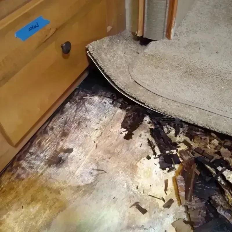 Wood Floor Water Damage in Clinton, OH